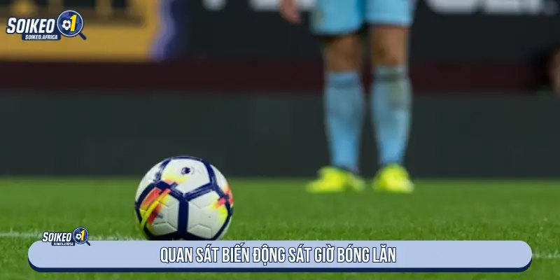 Quan sát biến động tỷ lệ sát giờ bóng lăn