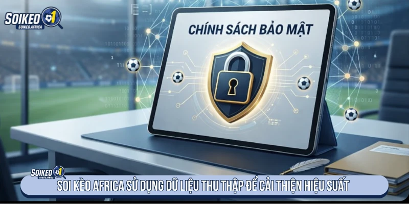 Dữ liệu truy cập được sử dụng để đánh giá hiệu suất website