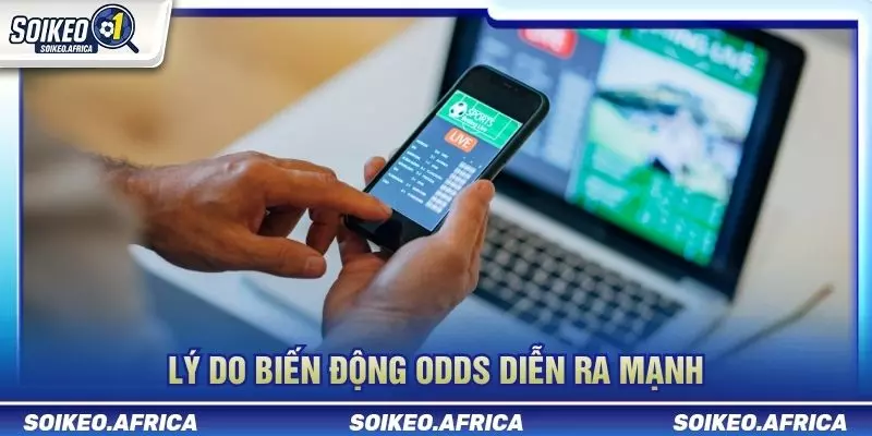 Nguyên nhân biến động odds sát giờ bóng lăn